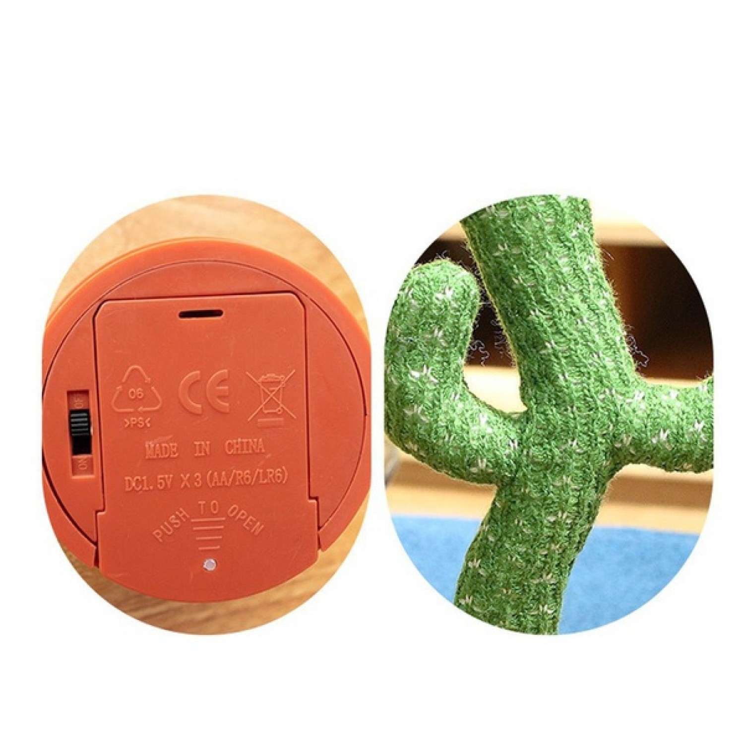 Cactus dansator Pentru Casa