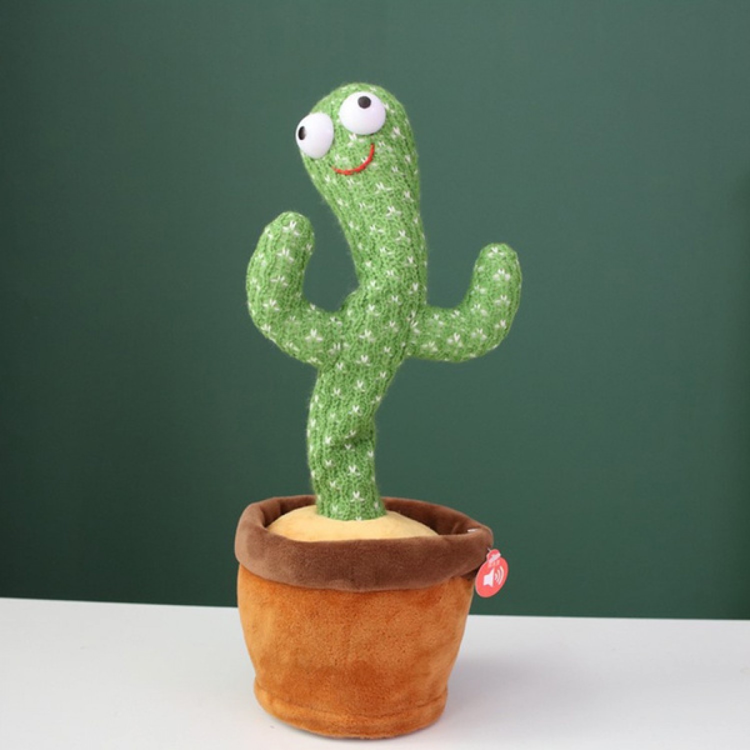 Cactus dansator Pentru Casa